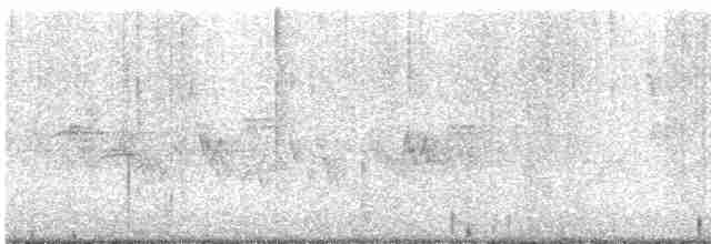 Tennessee Warbler - ML618695241