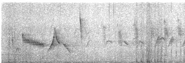 Vireo Ojiblanco - ML618695372