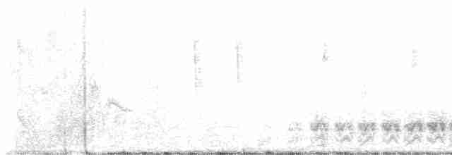 Kanyon Çıtkuşu - ML618695902