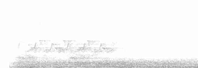 Paruline vermivore - ML618695920