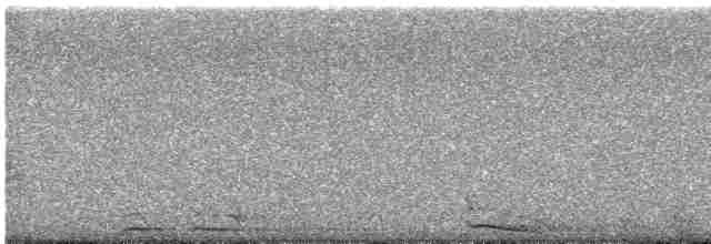 Сова плямиста (підвид lucida) - ML618695932