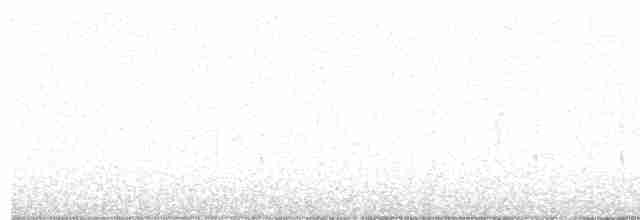 strakapoud bělohlavý - ML618696788