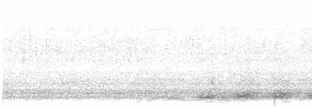 Chouette rayée - ML618697286