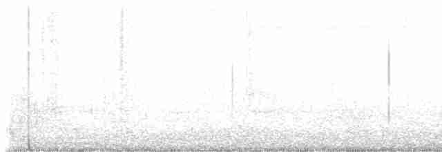 Gri Yanaklı Bülbül Ardıcı - ML618697933