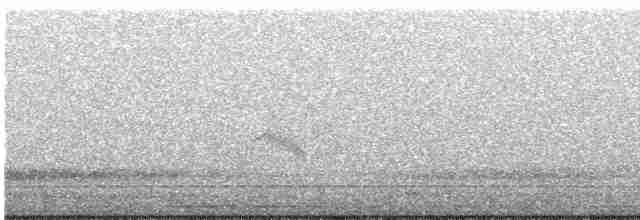 Gri Yanaklı Bülbül Ardıcı - ML618698269