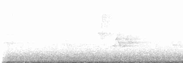 Kara Kanatlı Piranga - ML618698280
