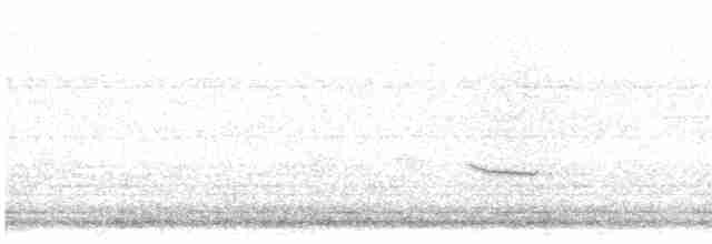 Дрізд-короткодзьоб плямистоволий - ML618699081