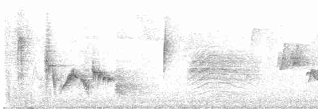 Vireo Ojiblanco (grupo griseus) - ML618699581