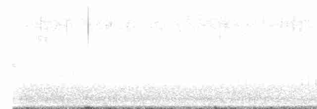 Black-browed Reed Warbler - ML618699649