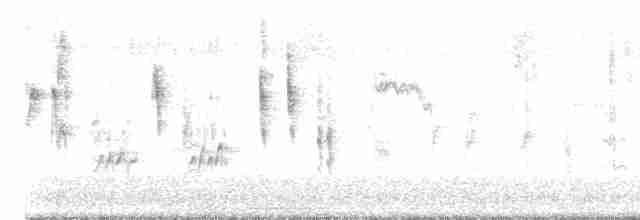 Black-browed Reed Warbler - ML618699650