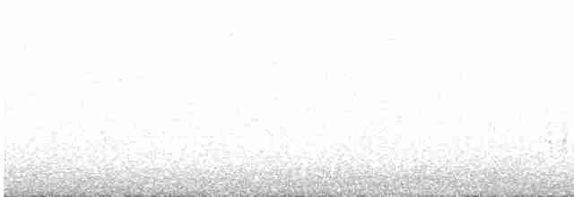 Желтоклювый чирок - ML618700402