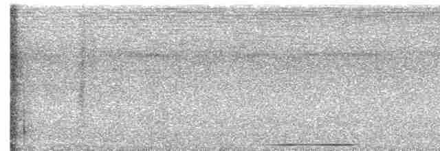 Chiriqui Quail-Dove - ML618702826