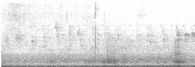 Black-browed Reed Warbler - ML618703078