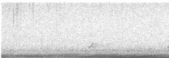 Дрізд-короткодзьоб Cвенсона - ML618703206