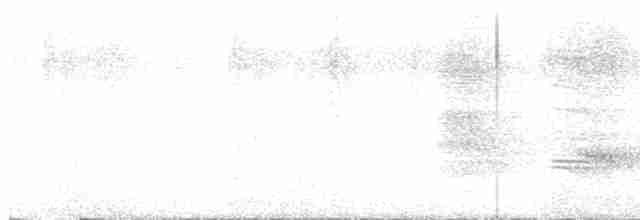 Чапля єгипетська (підвид coromandus) - ML618703455
