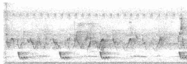 Large-tailed Nightjar - ML618707080