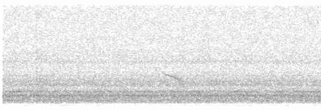 Дрізд-короткодзьоб плямистоволий - ML618707243