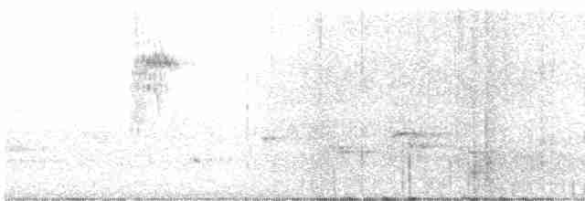 Gray-streaked Flycatcher - ML618709646