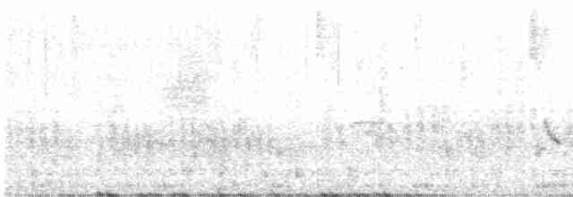 Трав’янка сіра - ML618710016