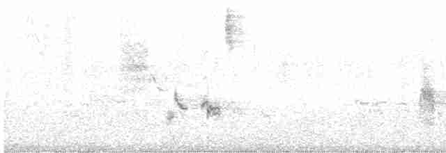 Трав’янка сіра - ML618710017