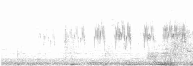 Tree Swallow - ML618710201