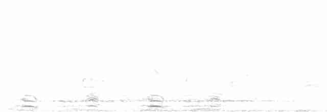 Болотный крапивник - ML618710299