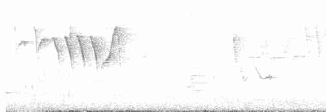 Малая вильсония - ML618710552