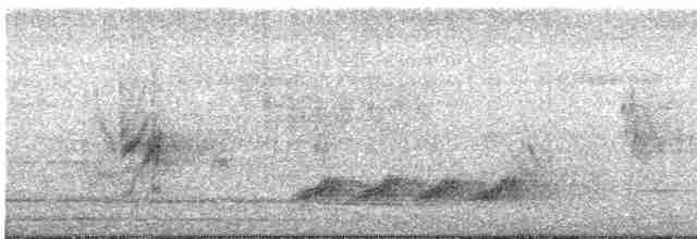 סנונית משורטטת - ML618710694