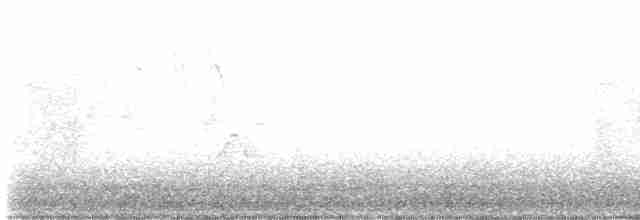 Tennessee Warbler - ML618711697