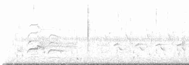 ハジロオオシギ（inornata） - ML618711743