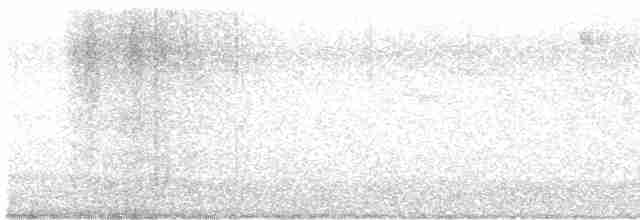 lejsek černohlavý - ML618711862
