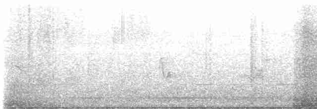 Blackpoll Warbler - ML618713511