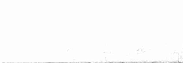 Schwarzkehl-Nachtschwalbe - ML618713630