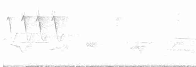 Kara Kanatlı Piranga - ML618715107