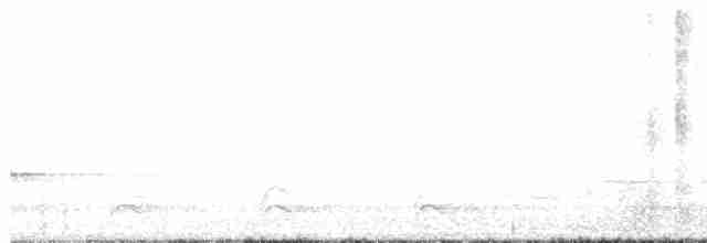 Münzevi Bülbül Ardıcı - ML618715165