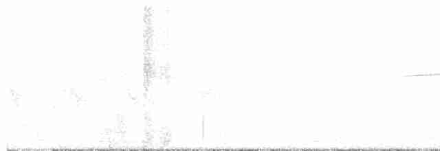 Дрізд-короткодзьоб плямистоволий - ML618715167