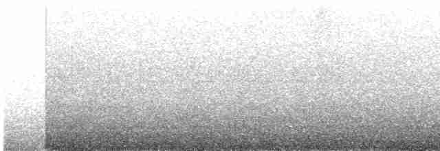 セスジツバメ - ML618715323