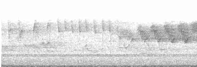 Cerulean Warbler - ML618715389