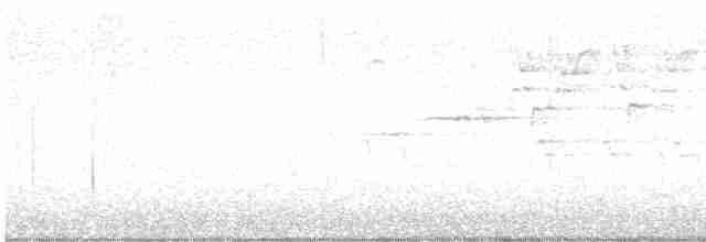 Münzevi Bülbül Ardıcı - ML618715482
