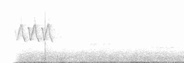 White-eyed Vireo - ML618716767