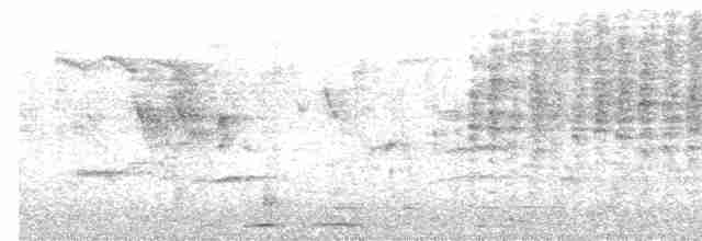 Woodchat Shrike - ML618717307