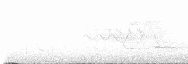 Cerulean Warbler - ML618717529