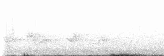 Kara Kanatlı Piranga - ML618717537
