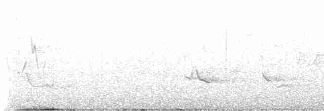 lesňáček modrokřídlý - ML618717632