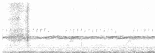 Schwarzkehl-Nachtschwalbe - ML618717860