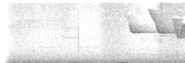 Трясогузковый певун - ML618720058