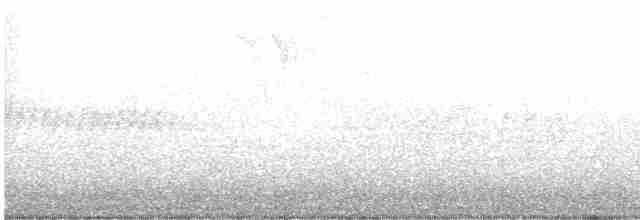 Піранга пломениста - ML618721854