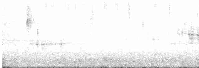 lesňáček modrohřbetý - ML618721860