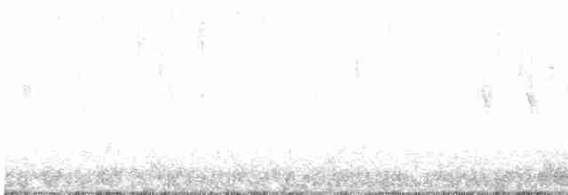 lesňáček modrohřbetý - ML618721863