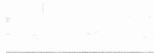 Black-throated Green Warbler - ML618723000